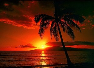 a-10-island-sunset-web-lg