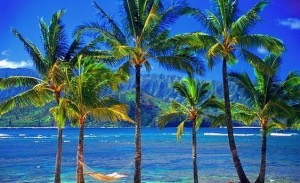 hawai 3